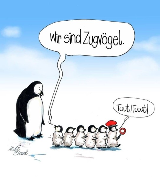 pinguine.jpg