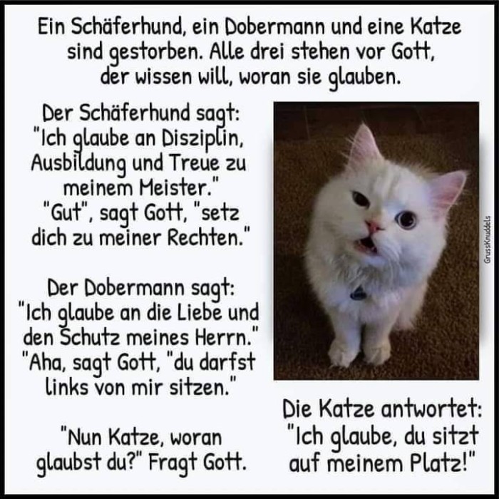 Katze, Hund und Gott.jpg