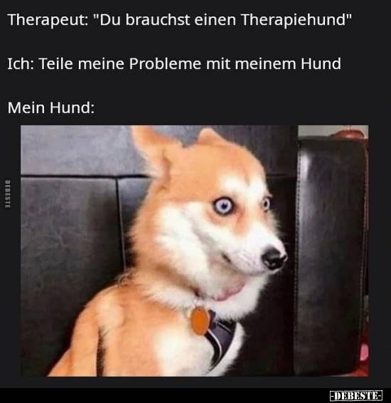 Du brauchst einen Therapiehund.jpg